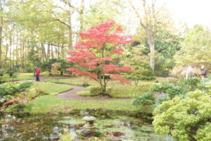 496-2011-10-23 Wandelen Japanse tuin Clingendeal