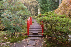498-2011-10-23 Wandelen Japanse tuin Clingendeal