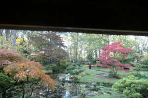 500-2011-10-23 Wandelen Japanse tuin Clingendeal