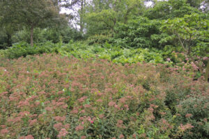 550-2012-07-15 Wandelen Zuiderpark