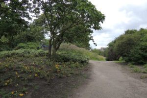 551-2012-07-15 Wandelen Zuiderpark