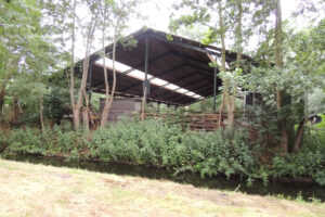 553-2012-07-15 Wandelen Zuiderpark