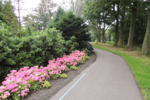 554-2012-07-15 Wandelen Zuiderpark