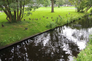 556-2012-07-15 Wandelen Zuiderpark