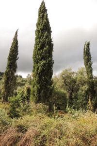 628-2012-09-16 Corfu