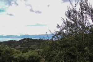 639-2012-09-16 Corfu