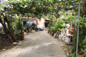 640-2012-09-16 Corfu