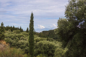 642-2012-09-16 Corfu