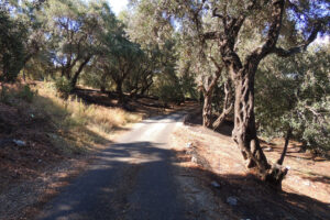 654-2012-09-17 Corfu