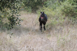 674-2012-09-20 Corfu