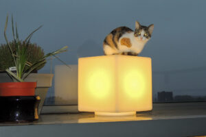 697-2012-10-21 Obelix op lamp