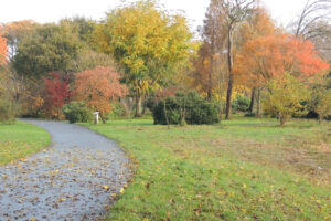 705-2012-11-11 Pharos wandelen Zuiderpark