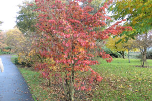 707-2012-11-11 Pharos wandelen Zuiderpark