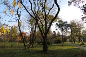 709-2012-11-11 Pharos wandelen Zuiderpark