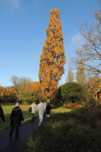 717-2012-11-11 Pharos wandelen Zuiderpark