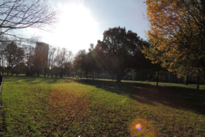 719-2012-11-11 Pharos wandelen Zuiderpark