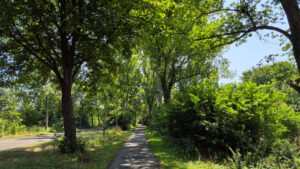 006-2025-08-10 Wilhelmina Park