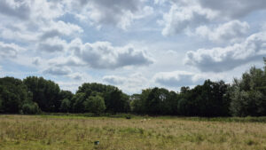 Samsung Galaxy S24 FE 1/5000 sec. @ f/1,8 ISO 25 5.4 mm
