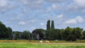 Samsung Galaxy S24 FE 1/2500 sec. @ f/2,4 ISO 32 7 mm