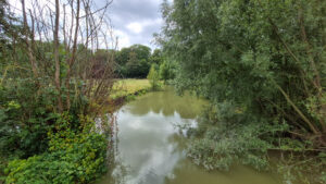 Samsung Galaxy S24 FE 1/1200 sec. @ f/2,2 ISO 50 1.74 mm