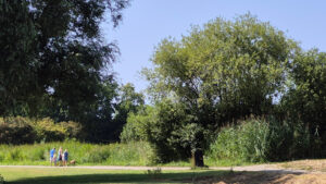 021-2025-08-10 Wilhelmina Park