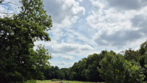 Samsung Galaxy S24 FE 1/3900 sec. @ f/1,8 ISO 25 5.4 mm