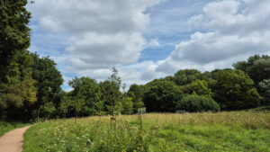 Samsung Galaxy S24 FE 1/3800 sec. @ f/1,8 ISO 25 5.4 mm