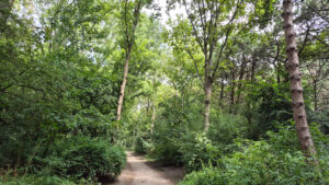 Samsung Galaxy S24 FE 1/180 sec. @ f/1,8 ISO 32 5.4 mm