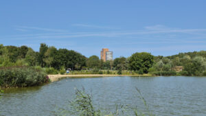 030-2025-08-10 Wilhelmina Park