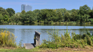 043-2025-08-10 Wilhelmina Park