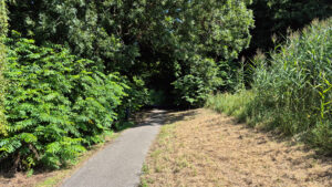 057-2025-08-10 Wilhelmina Park