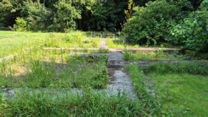 058-2025-08-10 Wilhelmina Park