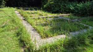 059-2025-08-10 Wilhelmina Park