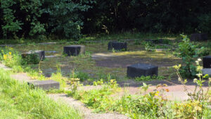 061-2025-08-10 Wilhelmina Park