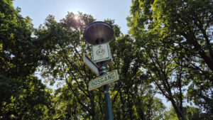 063-2025-08-10 Wilhelmina Park