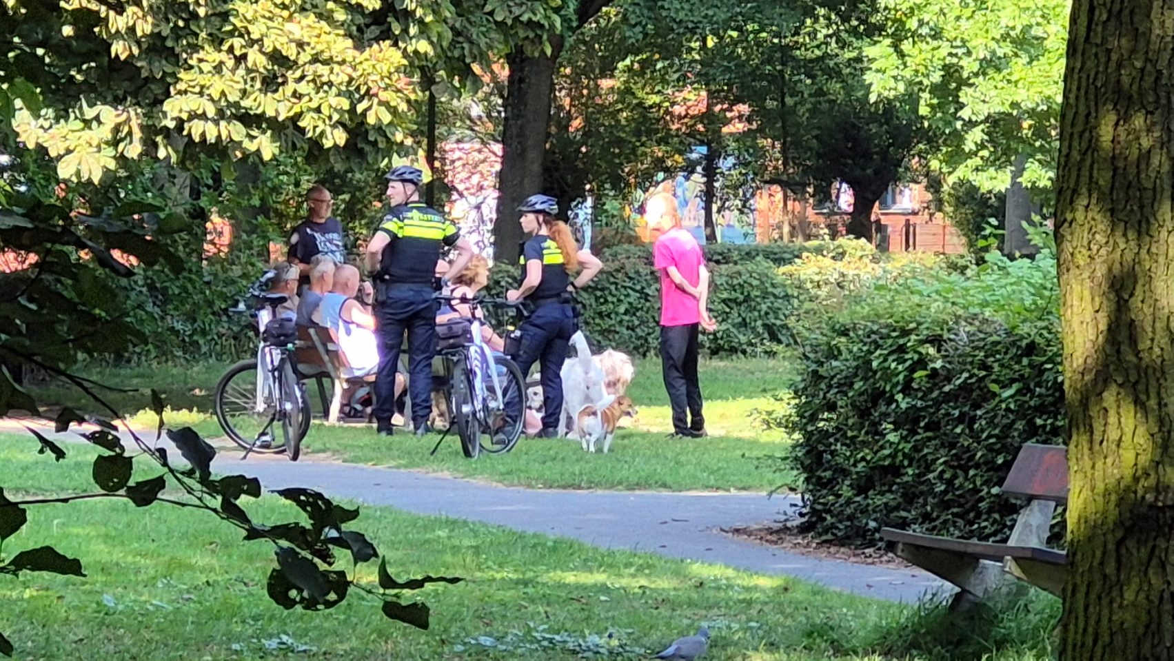 O o o heeft iedereen zijn twee zakjes bij zich? op dag 2053