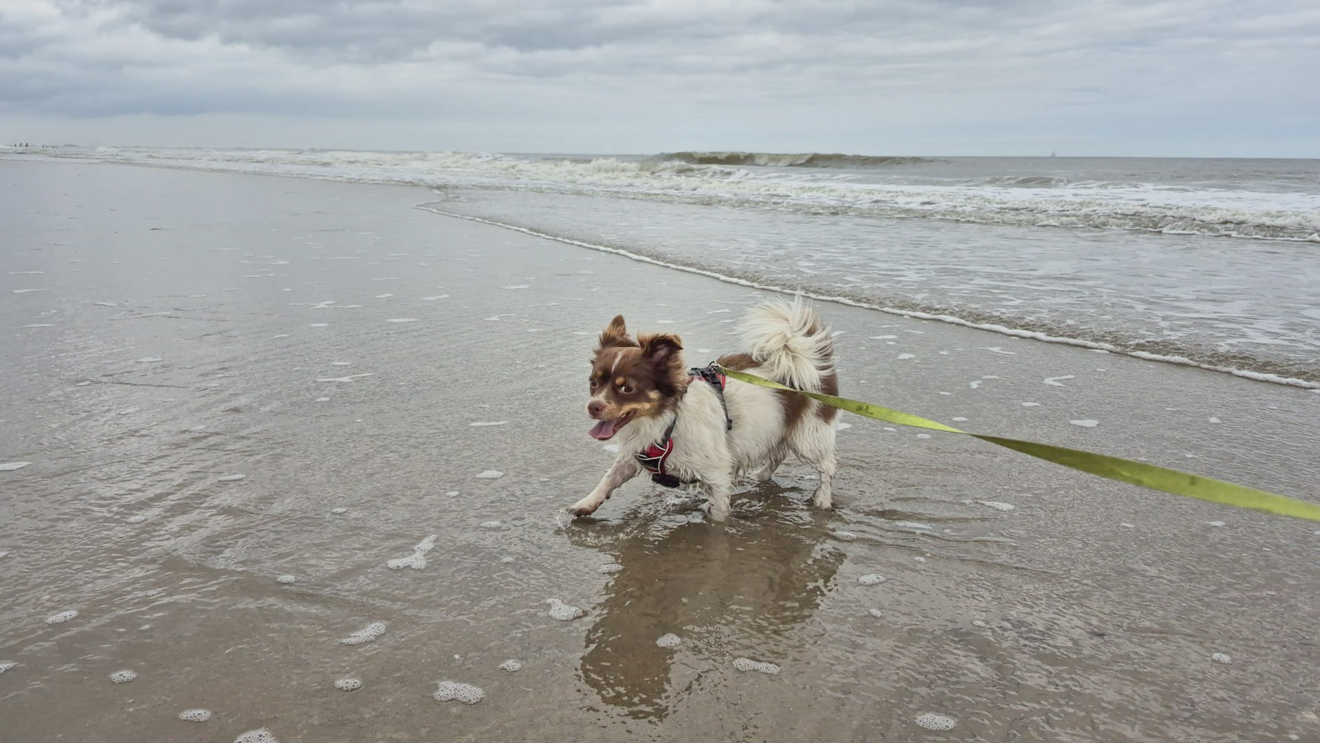 Plonzen in de zee, dat doet onze Vriend! erg graag, dag 2057