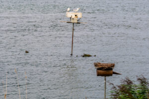 177-2025-08-23 Dortsche Kil