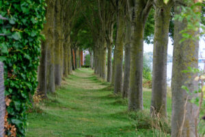 184-2025-08-23 Dortsche Kil