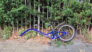 Iemand is een gek stuk fiets verloren, dag 2079
