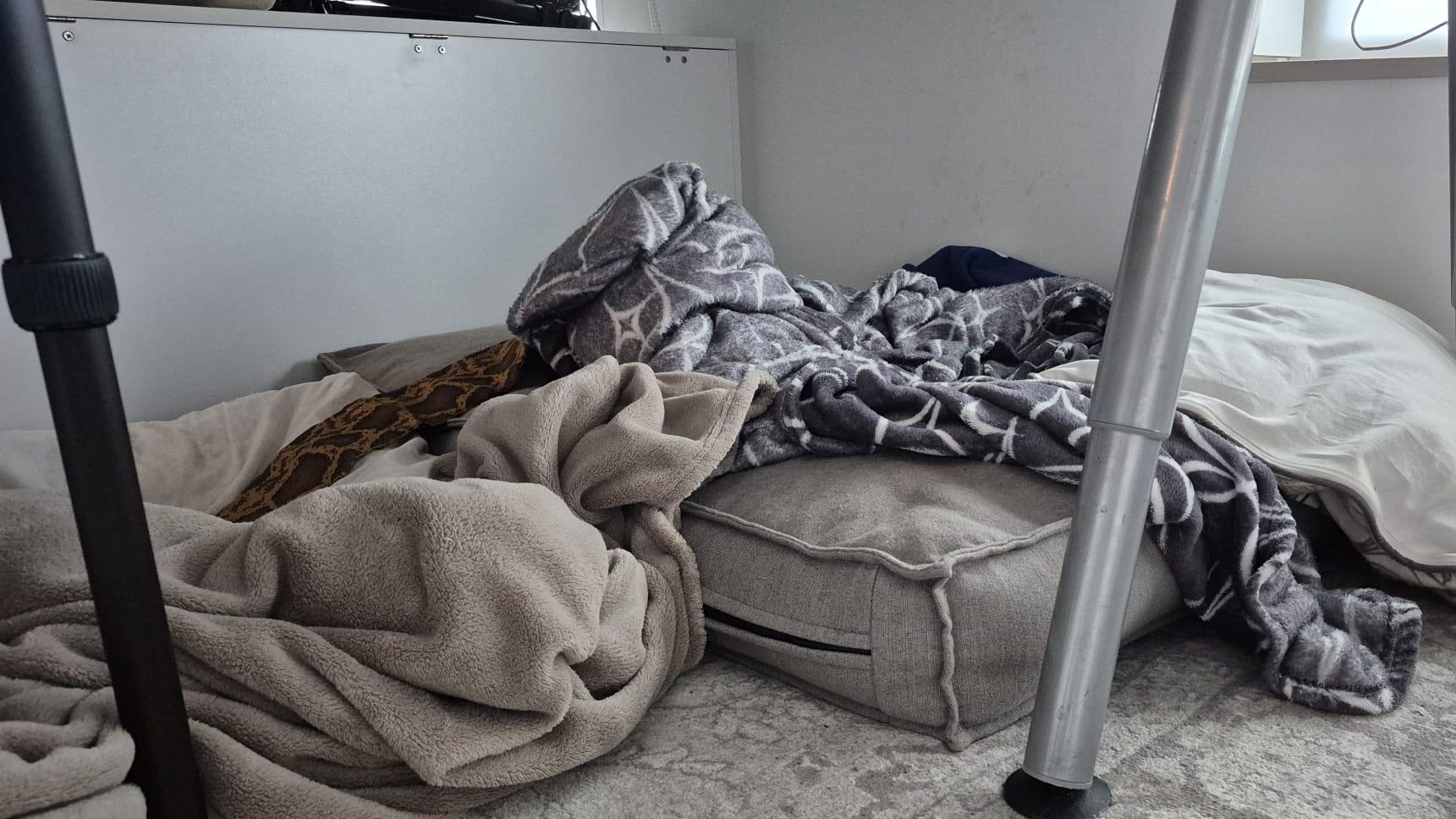 Vriend!je zijn overdag slaapkamer, dag 2082