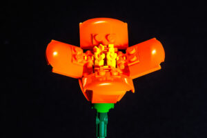 008-2025-09-14 Lego bloemen