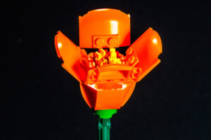 009-2025-09-14 Lego bloemen