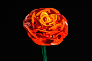 011-2025-09-14 Lego bloemen