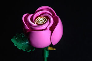 012-2025-09-14 Lego bloemen