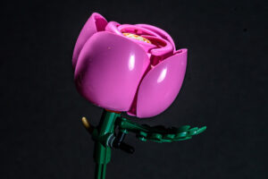 013-2025-09-14 Lego bloemen