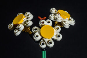 014-2025-09-14 Lego bloemen