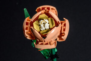 016-2025-09-14 Lego bloemen