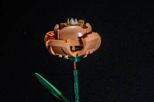 017-2025-09-14 Lego bloemen