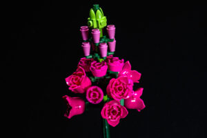 018-2025-09-14 Lego bloemen